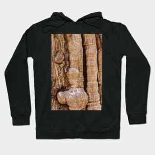 Tree Detail 2 Hoodie